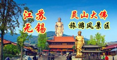 骚美女草屄江苏无锡灵山大佛旅游风景区